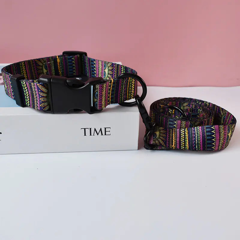 Colorful dog collar and leash set, all dog sizes