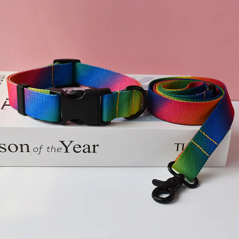 Colorful dog collar and leash set on a book with a pink background