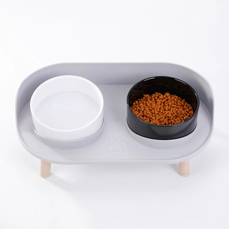 Front angle — elevated feeder with water bowl left, kibble right.