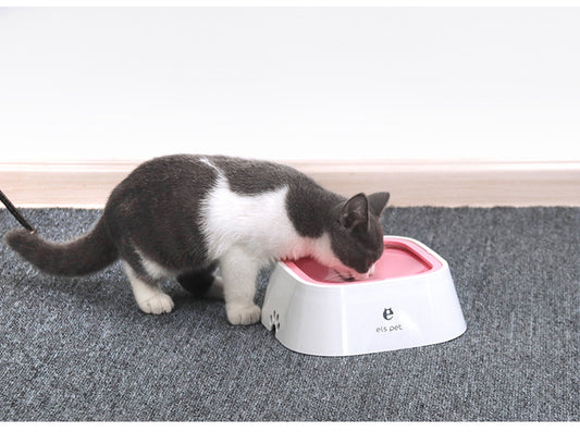 Cat drinking from a no-spill floating disk water bowl with pink lid; mess-reducing, slows fast drinking.
