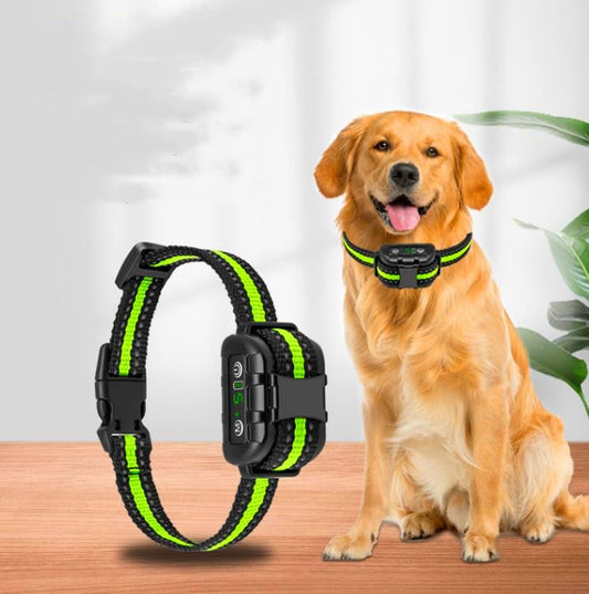 Golden retriever wearing waterproof anti-bark collar—beep and vibration training with optional shock for humane bark control