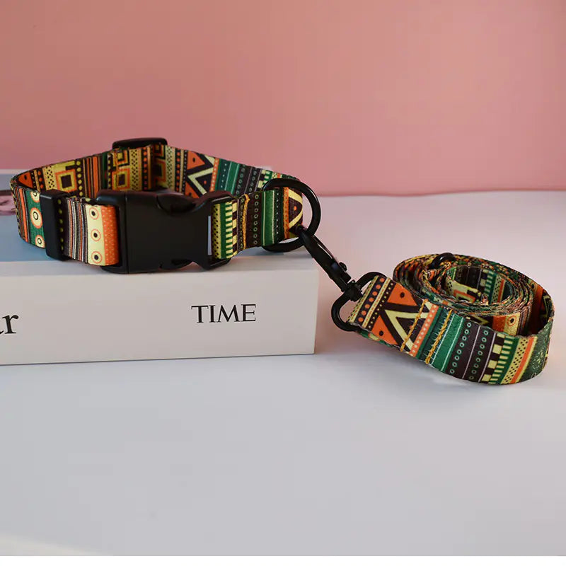 Orange with green patterned dog collar and leash set