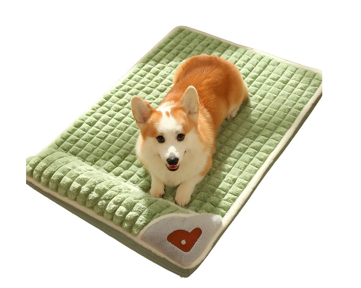 Dog laying on washable pet mat with raised pillow edge for neck support.