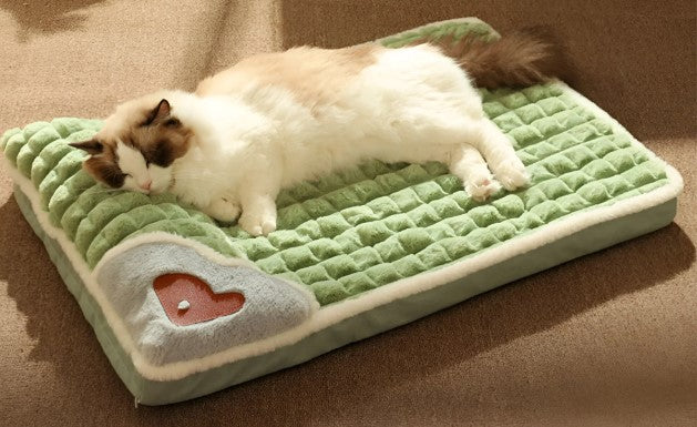Cat sleeping on green plush mat