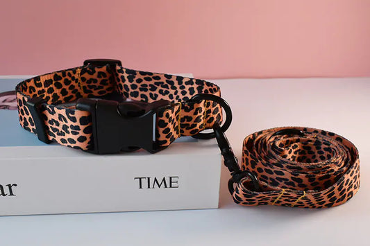Leopard print dog collar and leash on a white surface with a pink background