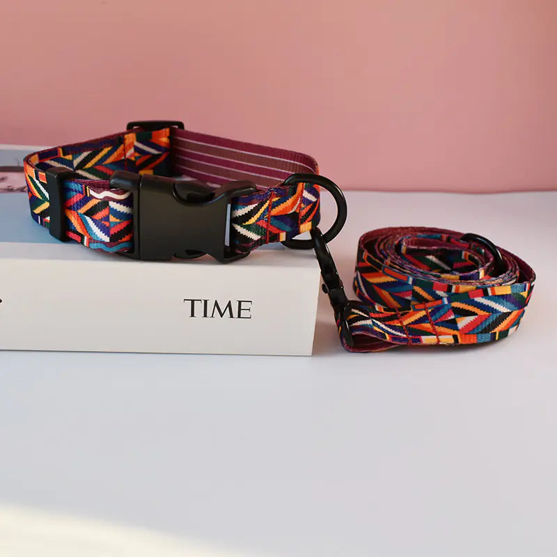 Colorful multi color dog collar and leash set on top of a 'TIME' magazine with a pink background.