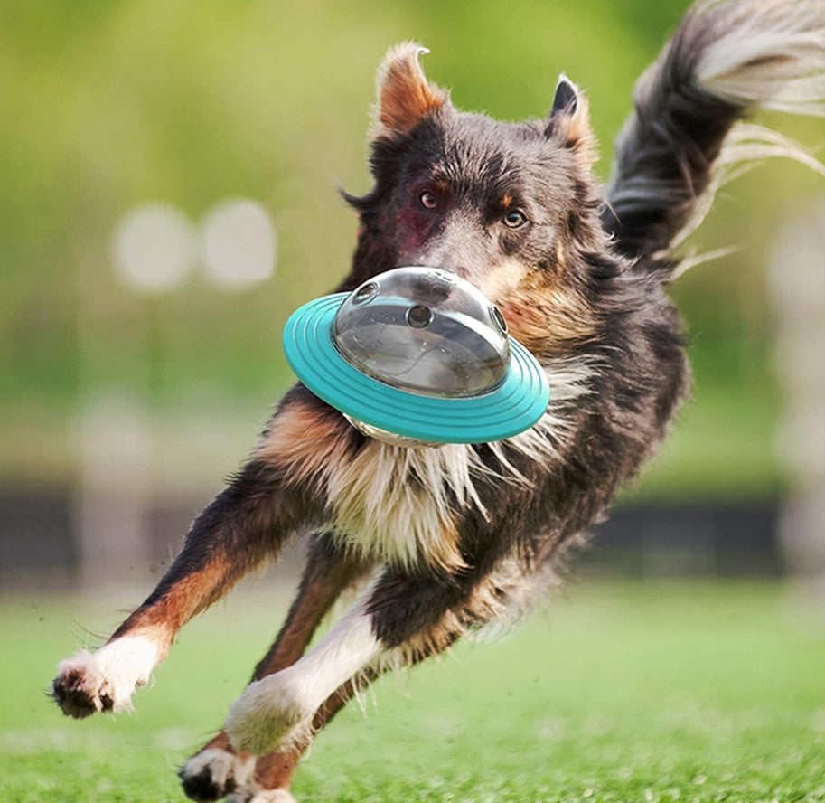 Interactive rotating disc dog toy that doubles as a slow-feed treat dispenser for mental stimulation and play