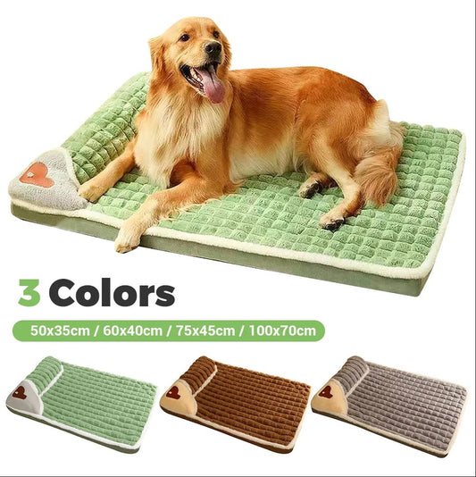 Golden retriever on green plush pet mat — removable, washable cover; available in green, caramel, gray.