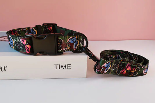 Butterfly-patterned dog collar and leash on a 'Time' magazine with a pink background