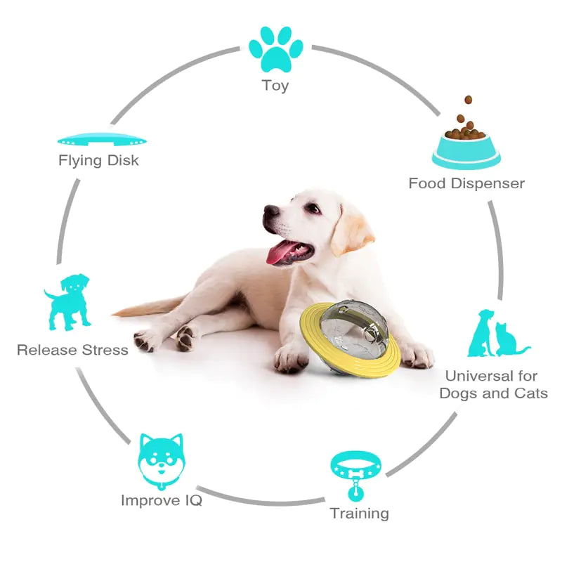 Diagram of enrichment benefits—slow feeding, training rewards, and healthy play using the disc toy