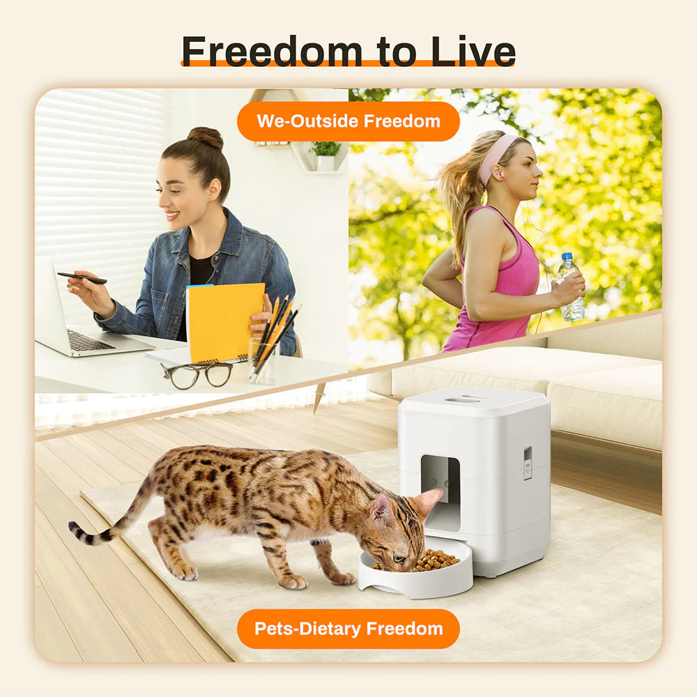Lifestyle photo of automatic pet feeder in living room beside dog, modern compact footprint.
